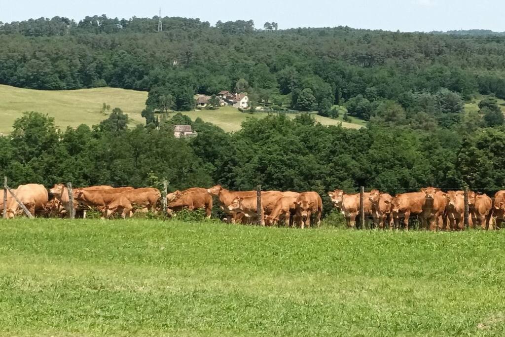 Gite Aux Vieux Bois Lunas  Eksteriør billede
