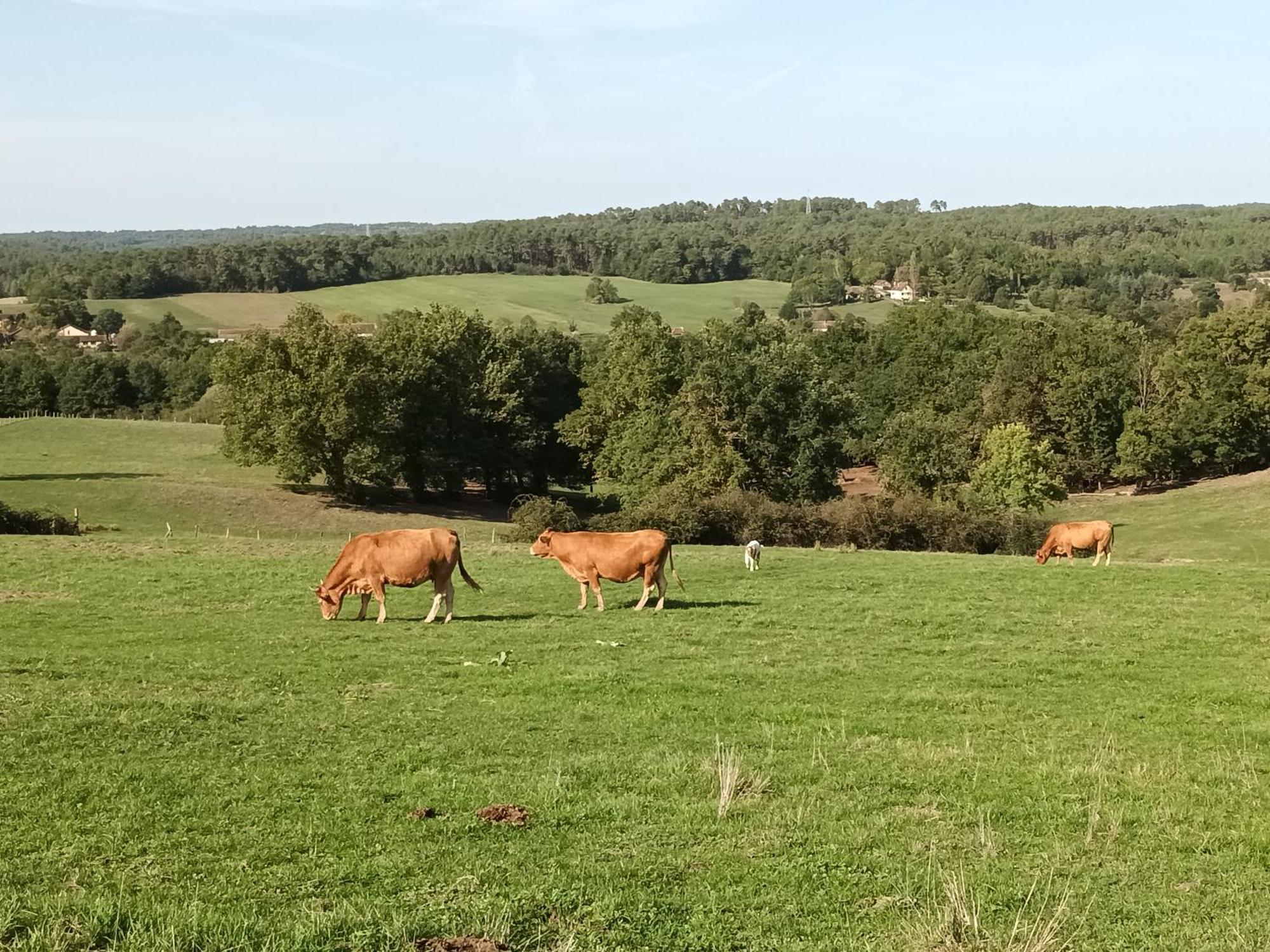 Gite Aux Vieux Bois Lunas  Eksteriør billede